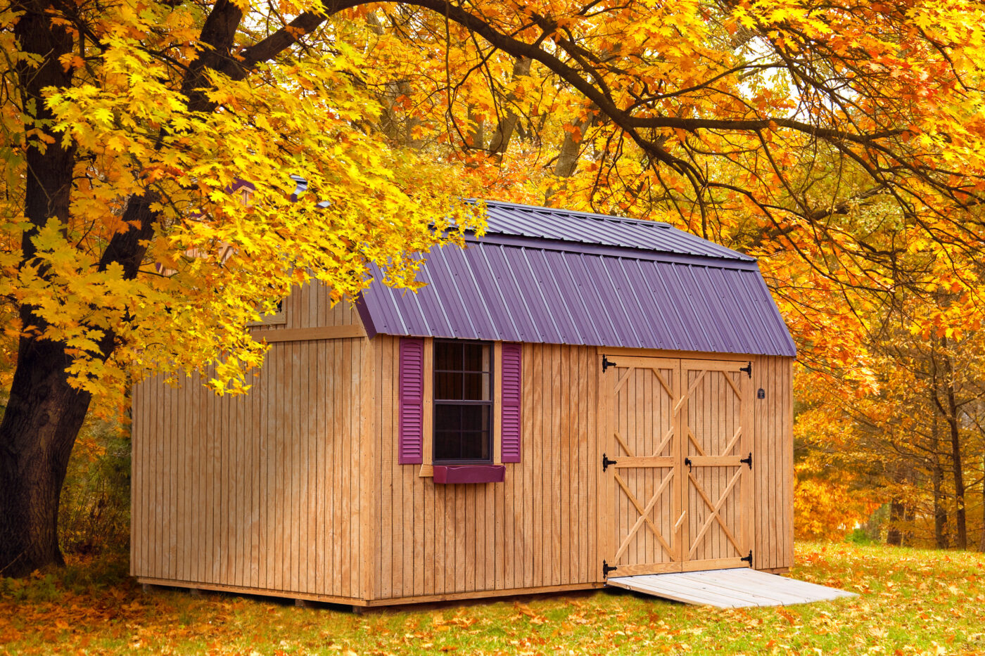 Lofted barn shed in forest